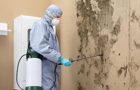 Best Mold Removal for HVAC Installations  in Centralia, IL